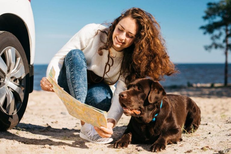 Ya puedes planificar las vacaciones con tu perro, por internet.
